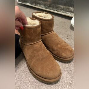 Chestnut uggs